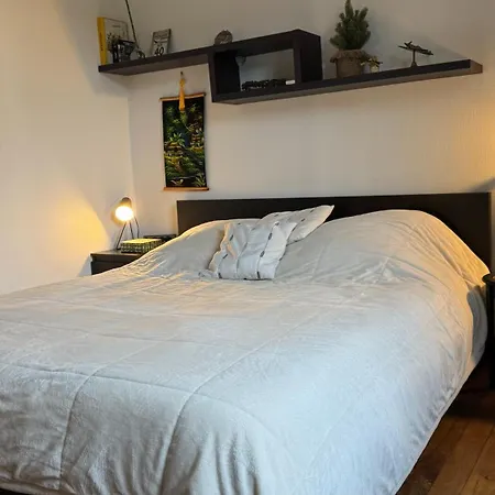 Guest house Maison D'hote Augeard *